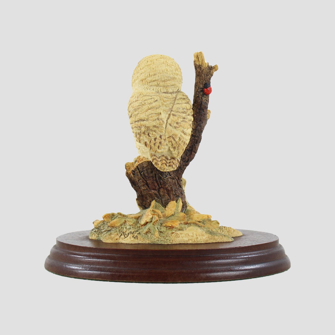 Owlet Style One Border Fine Arts Birds