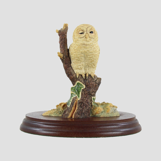 Owlet Style One Border Fine Arts Birds