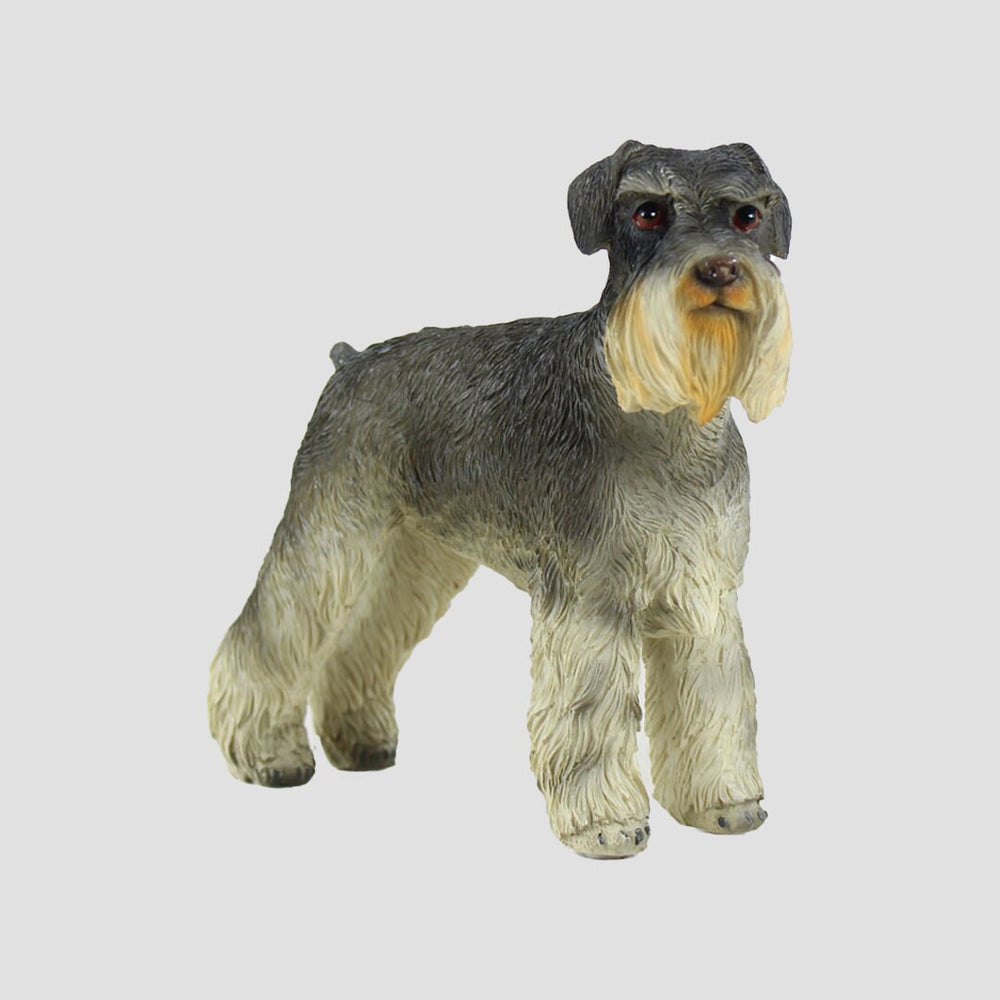 Schnauzer Dog Model