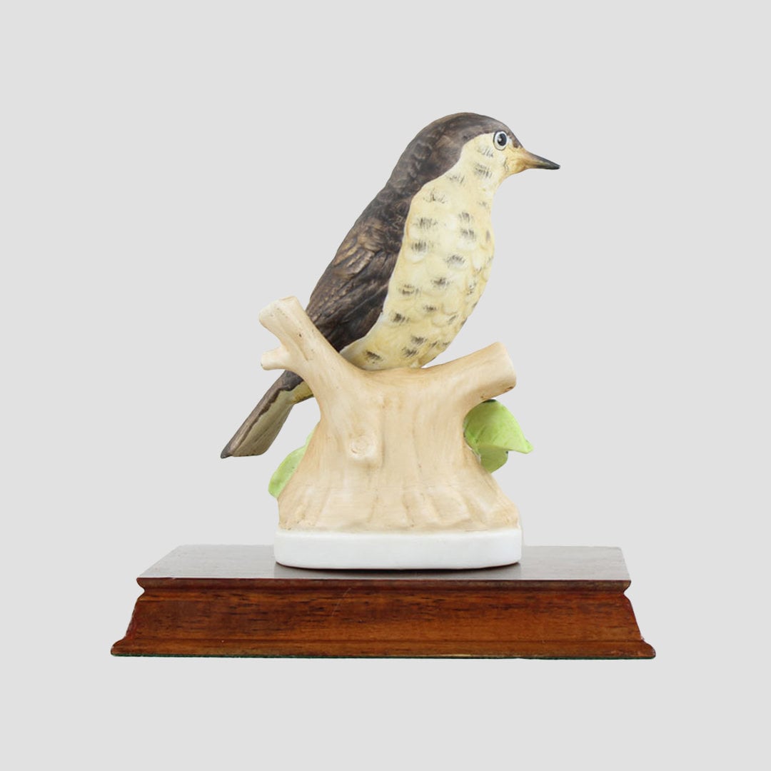 Song Thrush By Leonardo Birds