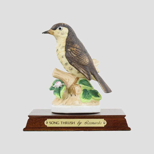 Song Thrush By Leonardo Birds