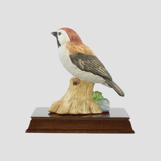 Sparrow By Leonardo Birds