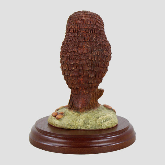 Tawny Owl By Simon Harris Birds