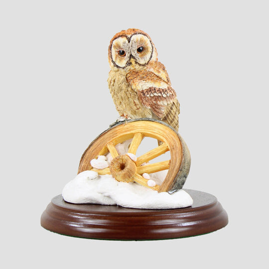 Tawny Owl on Wheel Border Fine Arts Birds