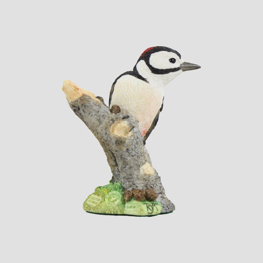 Woody Woodpecker Model Border Fine Arts Birds