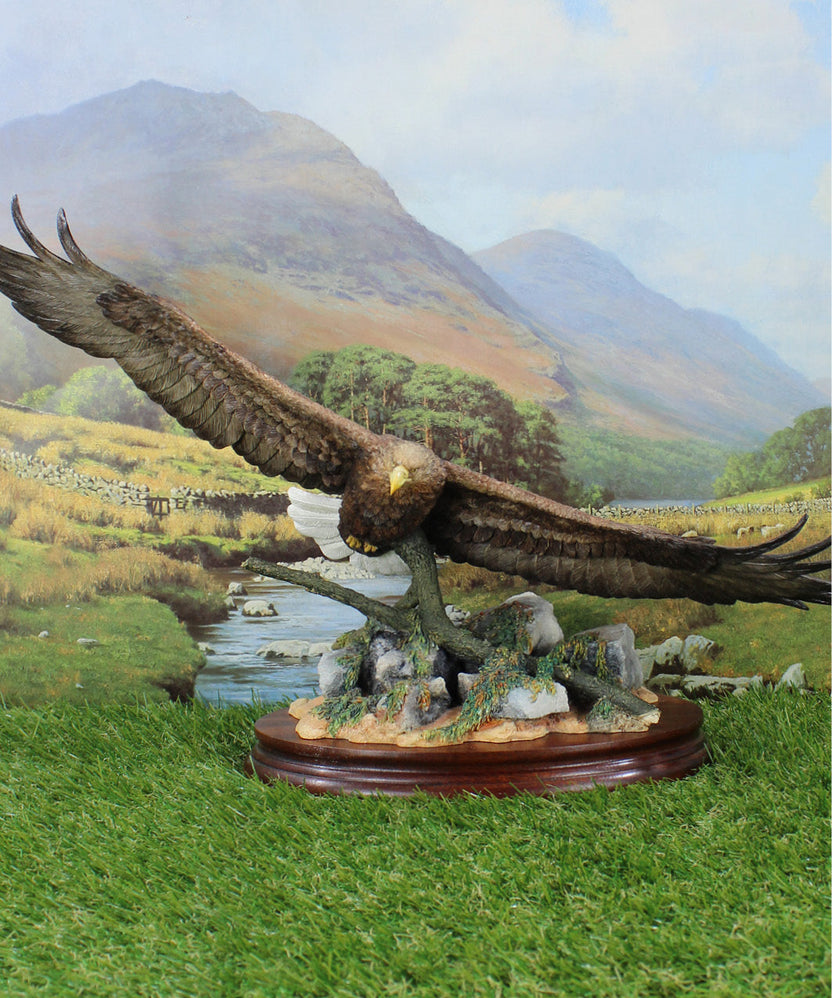 Bird Models – Grays 1922 Ltd