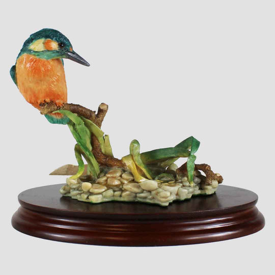 Kingfisher on Branch by Aynsley