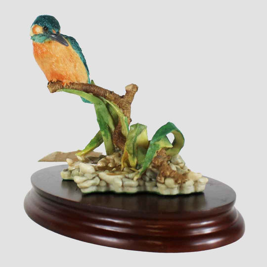 Kingfisher on Branch by Aynsley