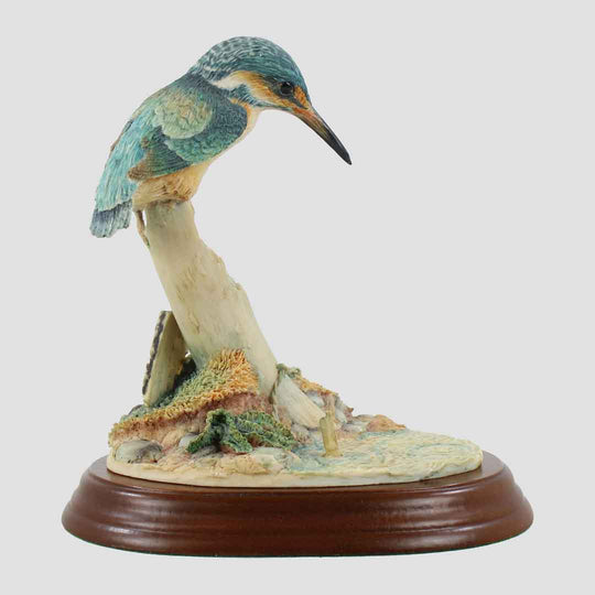 Kingfisher (Style 1) Border Fine Arts