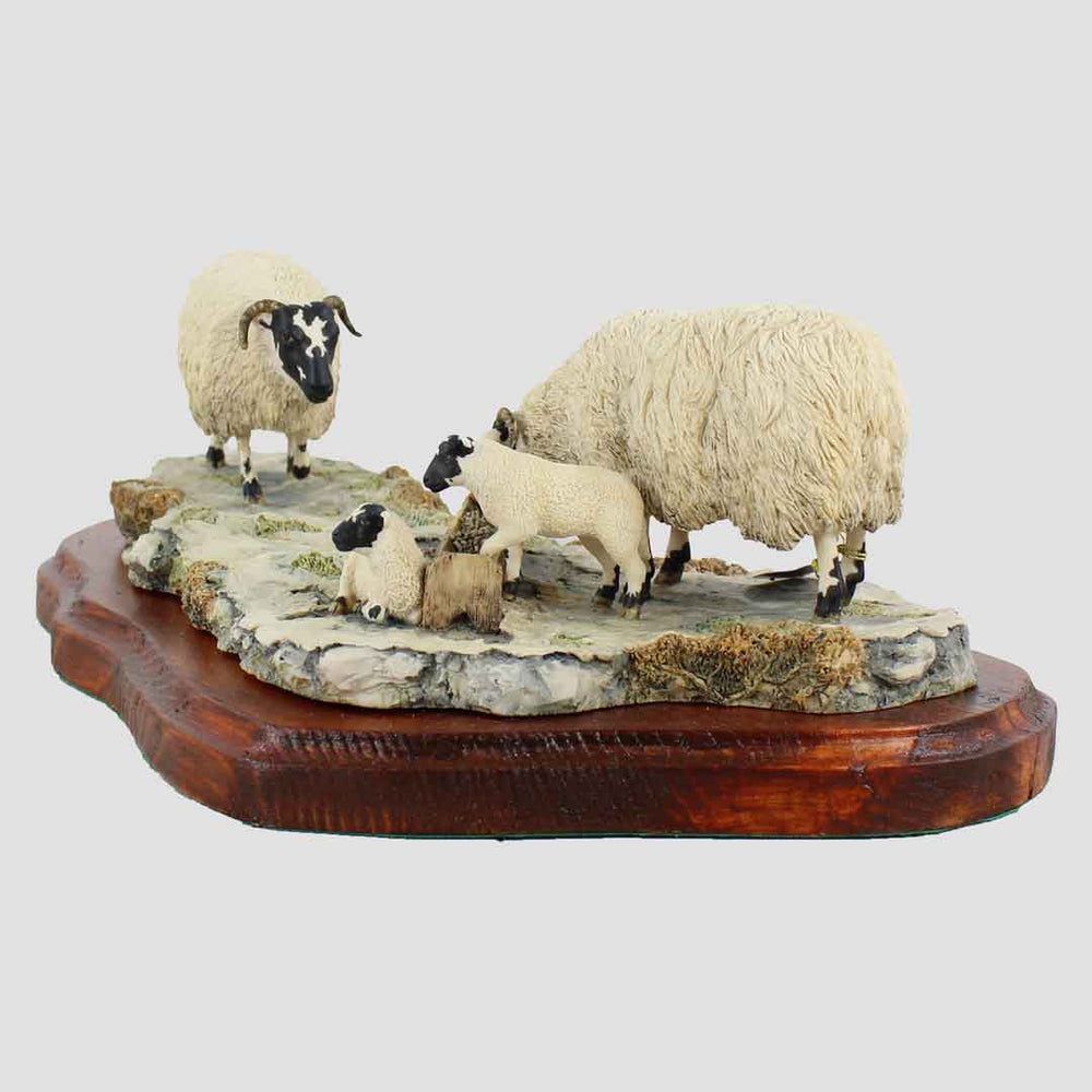 Early Lambs, Late Snow Border Fine Arts Sheep