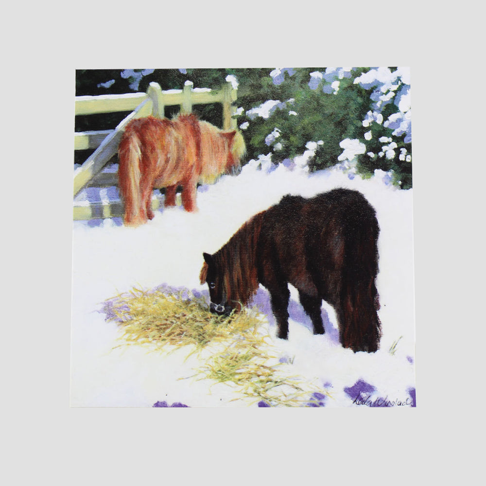 Shetland Ponies In Snow Christmas Cards 10 Pack