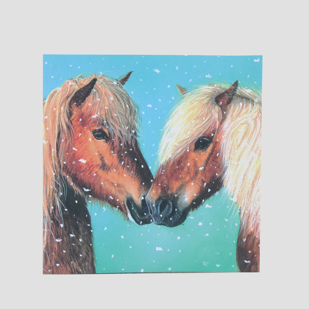Ponies And Donkeys Christmas Cards 10 Pack