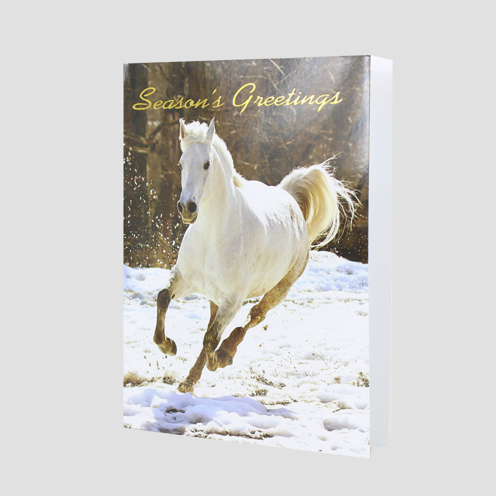 White Horse And Donkey Christmas Card 10 Pack