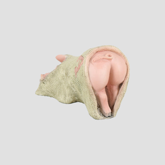 Pig Looking In Sack Border Fine Arts