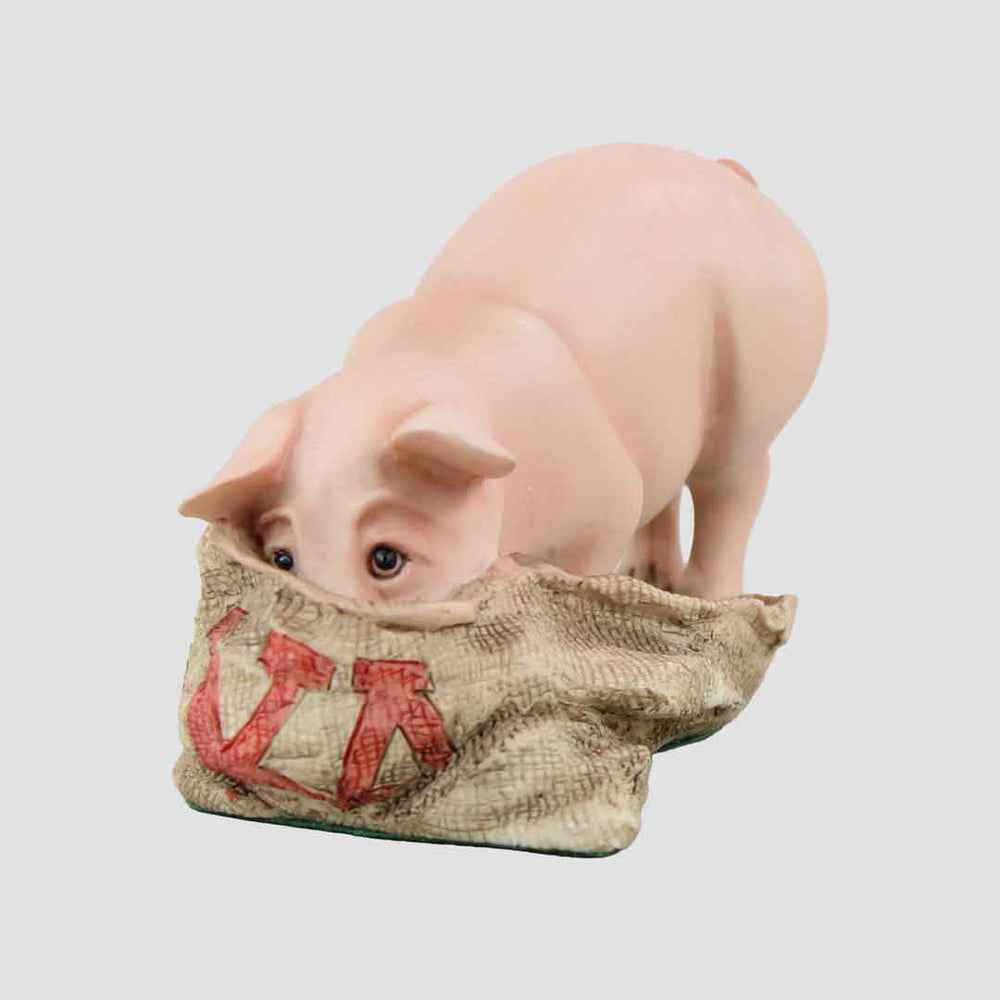 Pig Standing With Nose In Sack Border Fine Arts