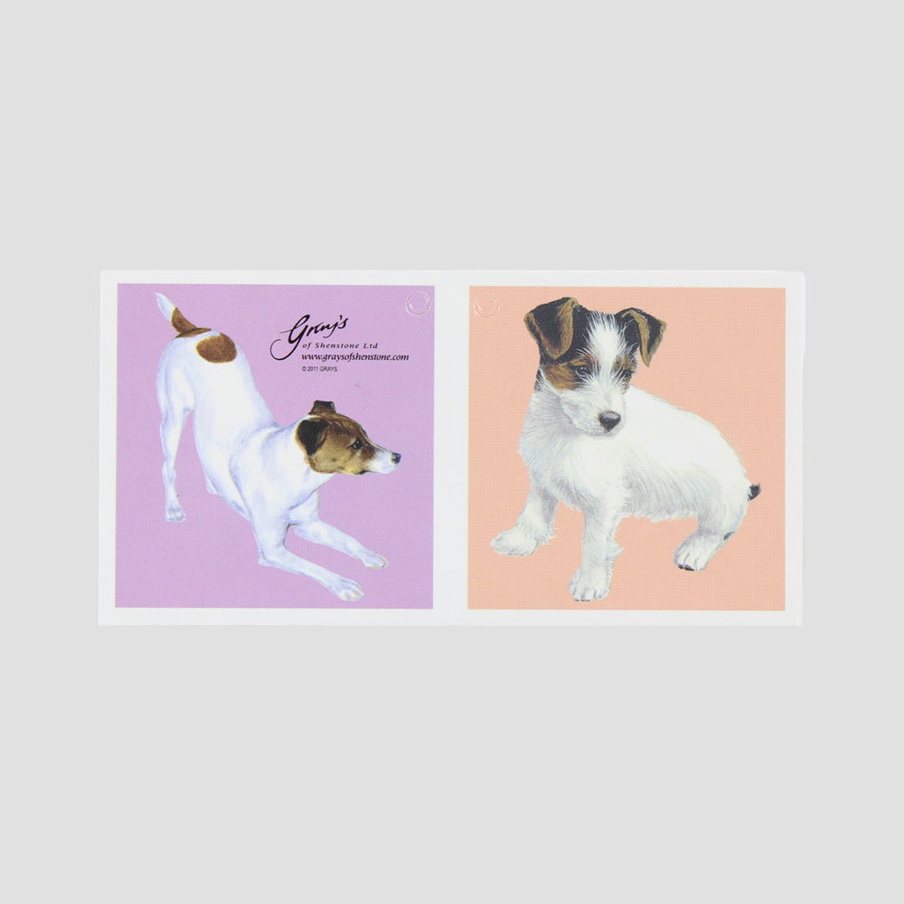 Jack Russell Gift Wrap