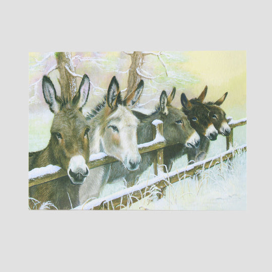 Donkey And Friends Christmas Cards 10 Pack