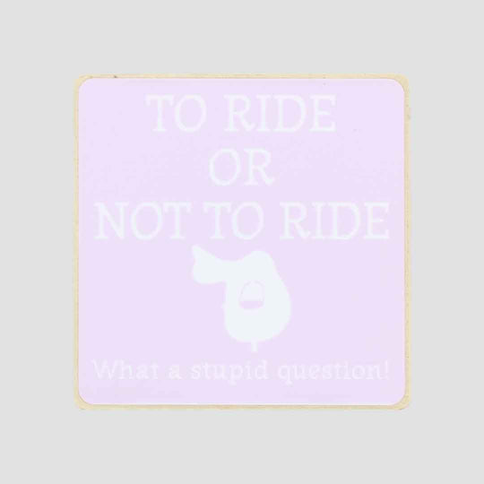 To Ride Or Not To Ride Fridge Magnet Pink