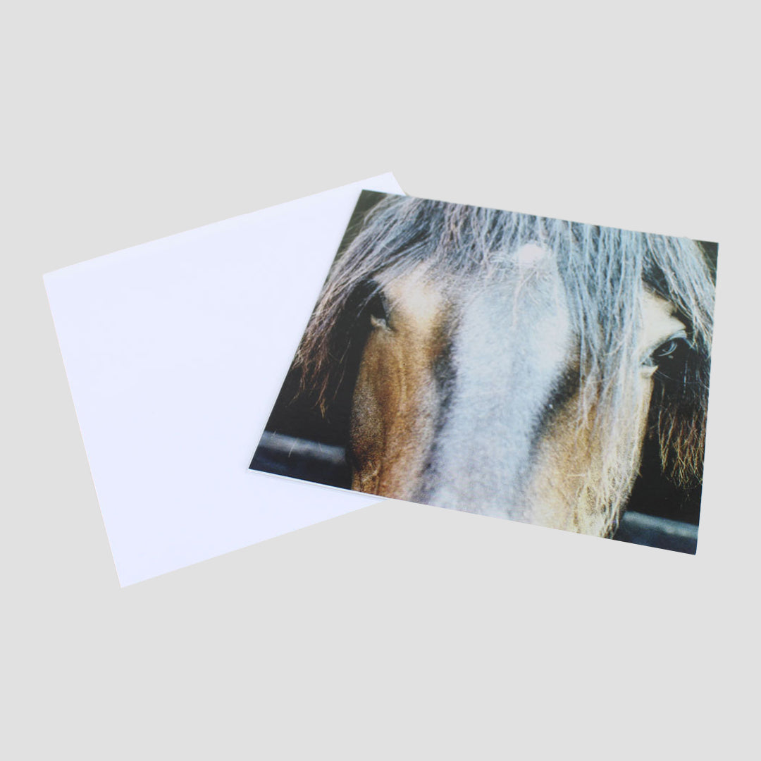 Horse Head Mandy Bowden Card