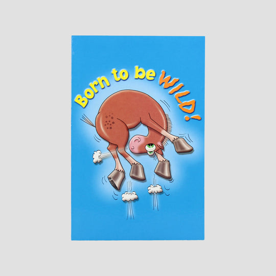 Born To Be Wild Horse Crazy Card