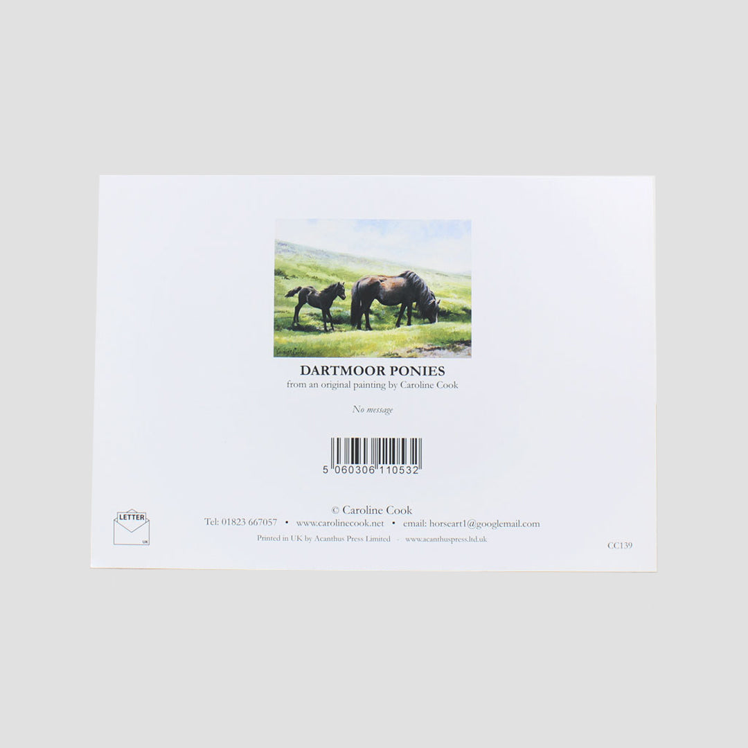 Dartmoor Ponies Card