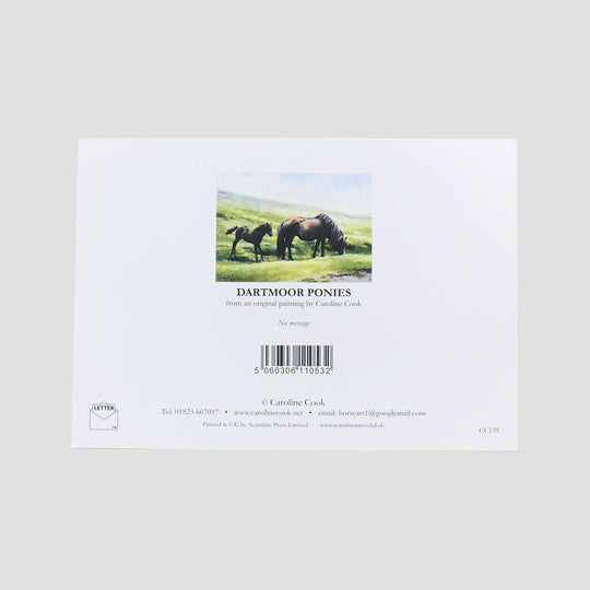 Dartmoor Ponies Card