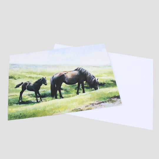 Dartmoor Ponies Card