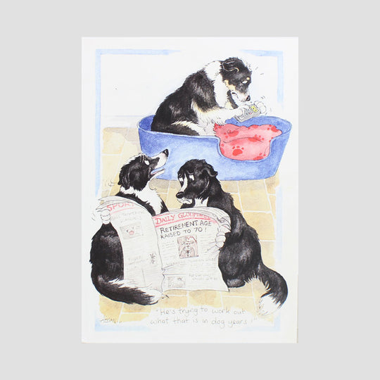 Pensions Crisis Alison's Animals Border Collie Card