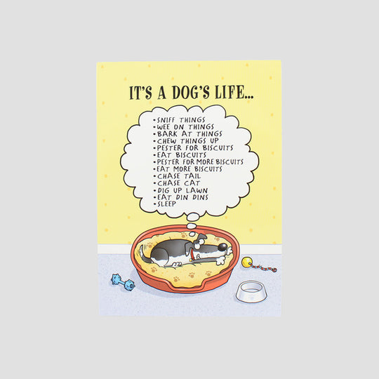 A Dogs Life Card