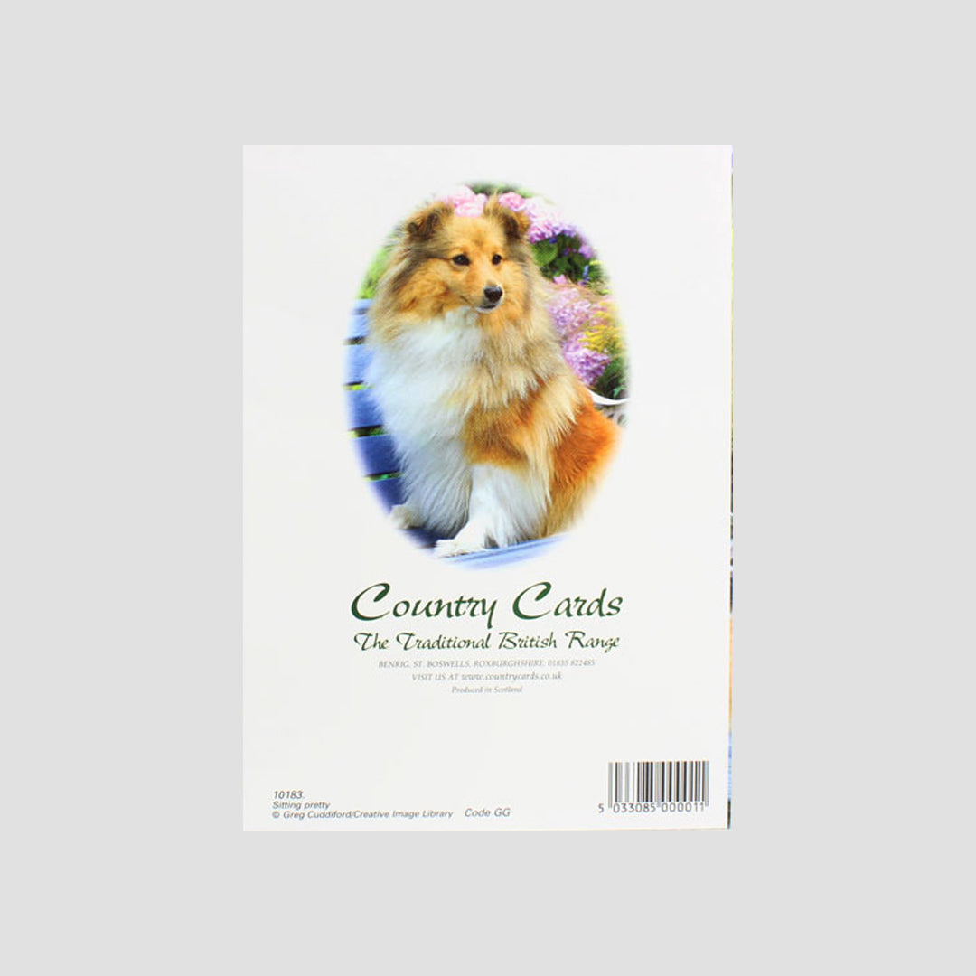 Sitting Pretty Dog Card From Country Cards