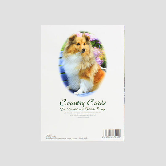 Sitting Pretty Dog Card From Country Cards