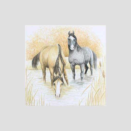 Horses In Water Card