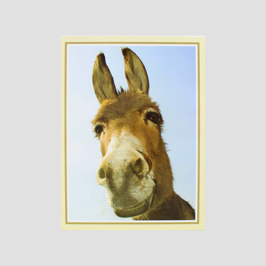 Donkey Card