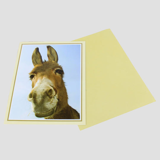 Donkey Card