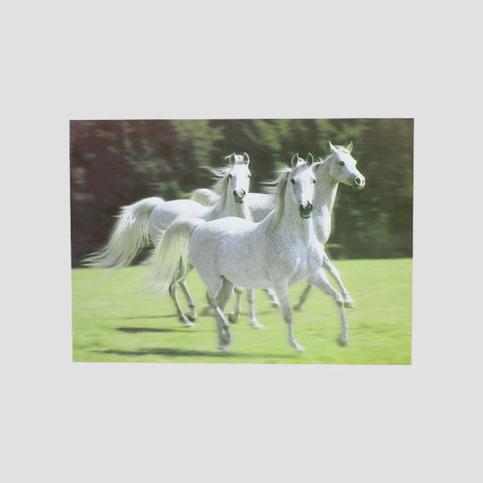 White Horses Card From Country Cards