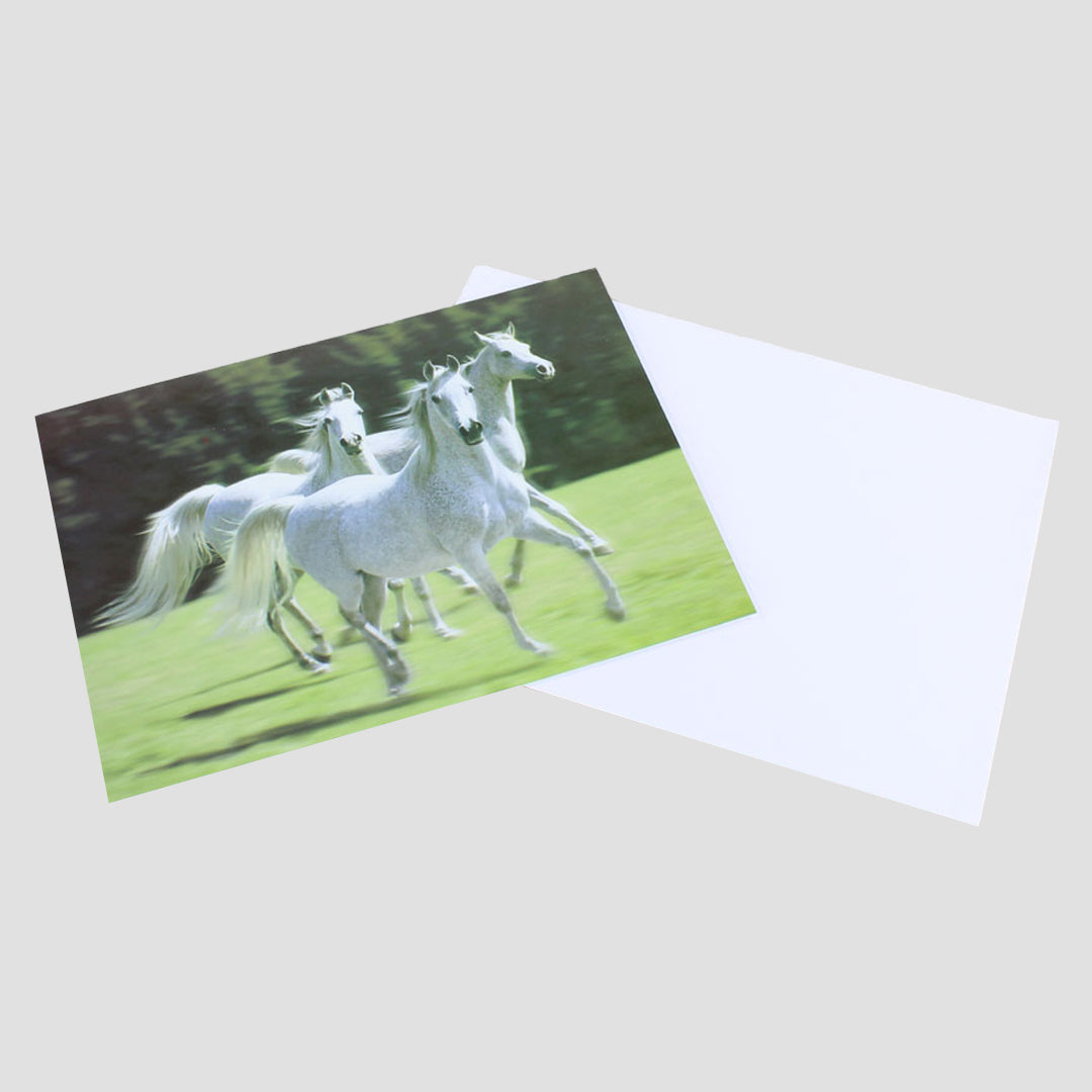 White Horses Card From Country Cards