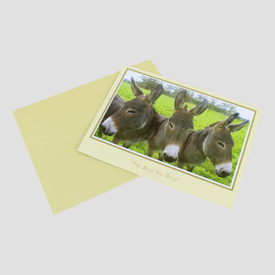 Me And My Pals Donkey Card