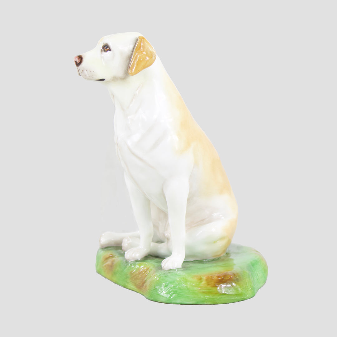 Labrador (Yellow( Sitting Royale Stratford Dogs