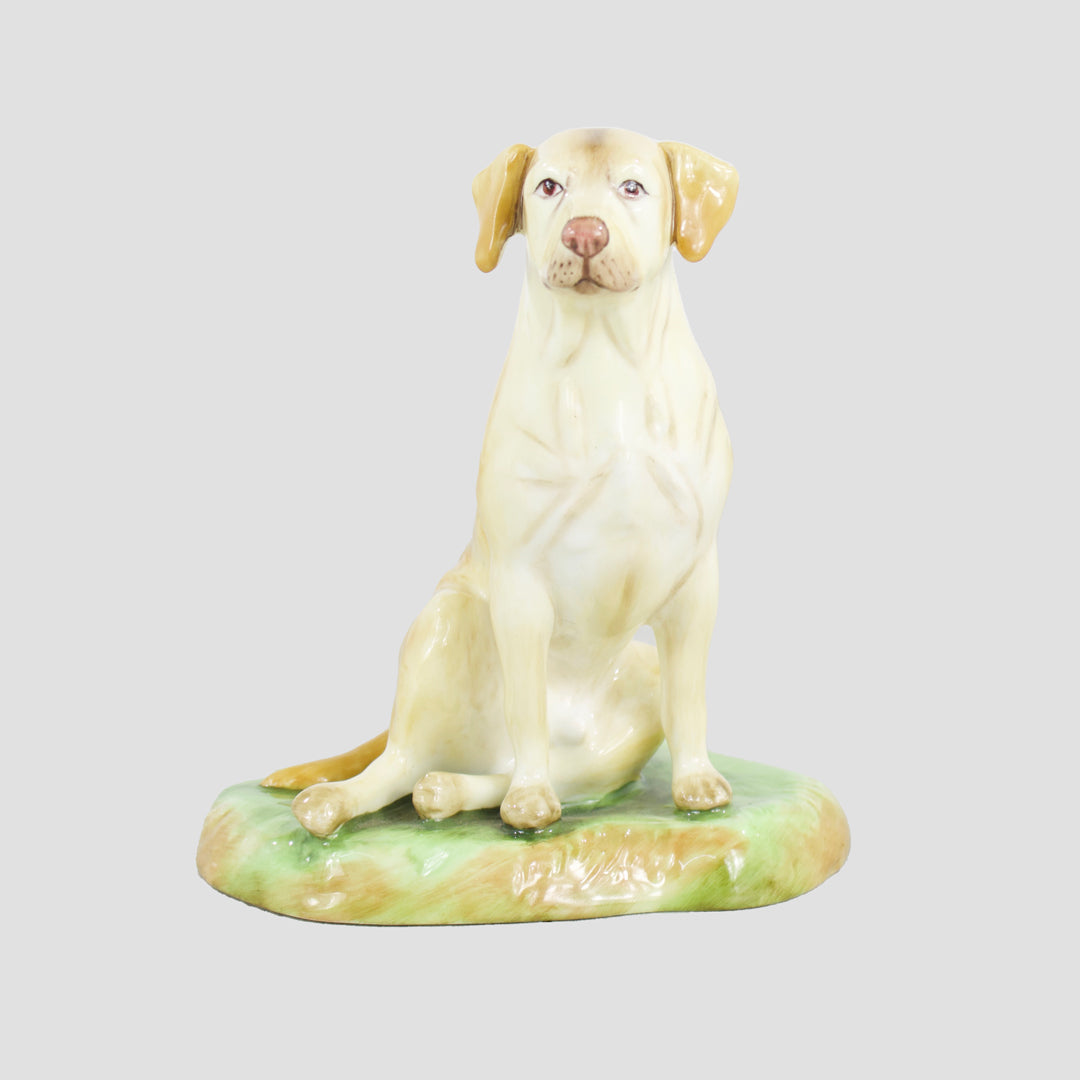 Labrador Sitting Royale Stratford Dog