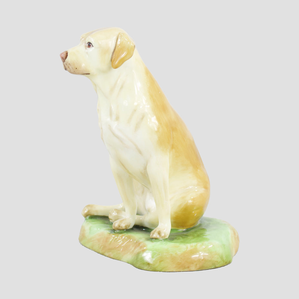 Labrador Sitting Royale Stratford Dog