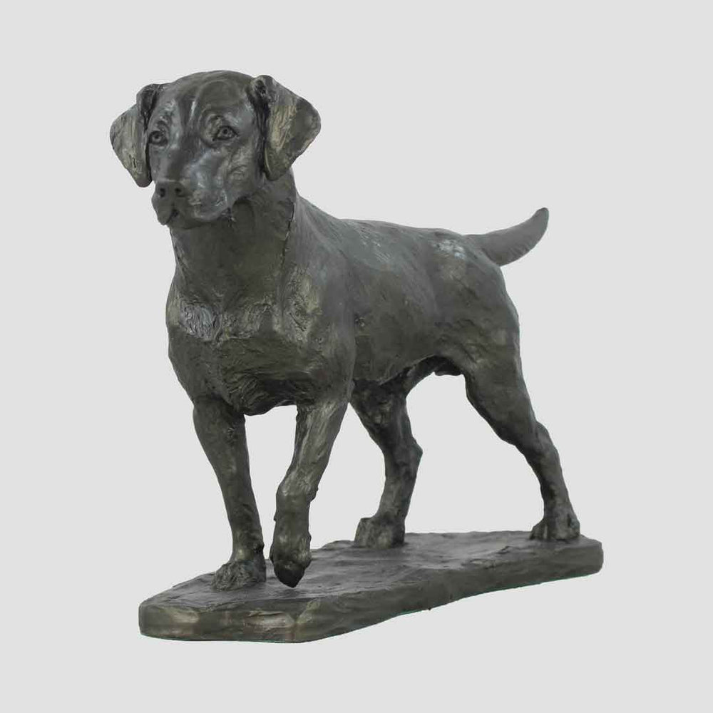 Dog Bronze Colour