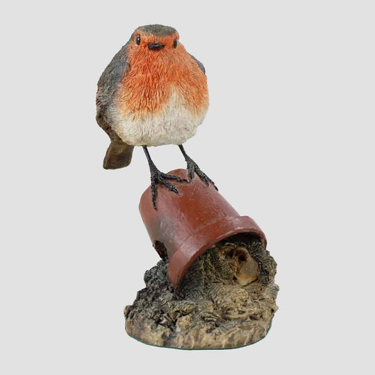 Robin On Plant Pot Model