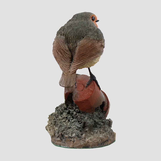 Robin On Plant Pot Model