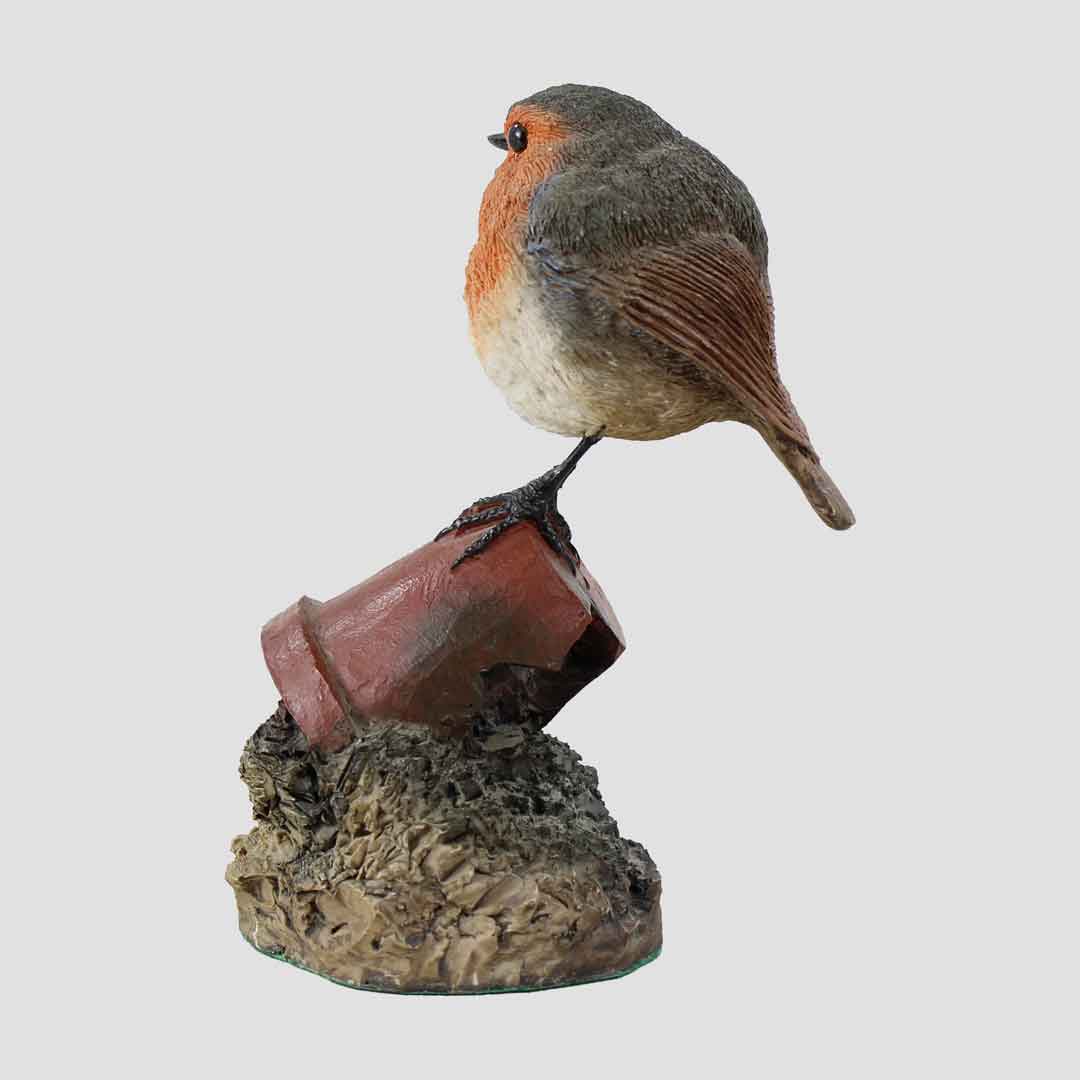 Robin On Plant Pot Model