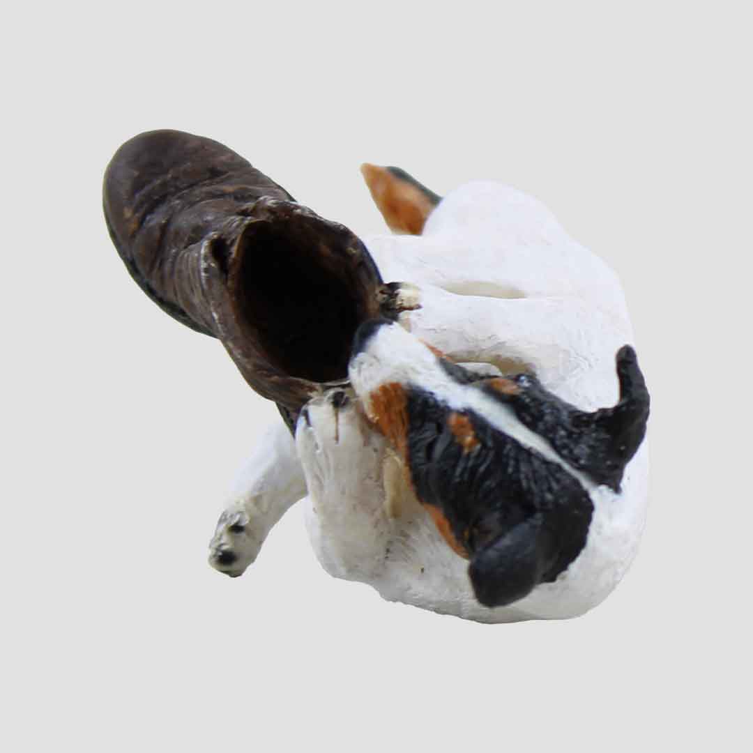 Jack Russell With Boot Playing