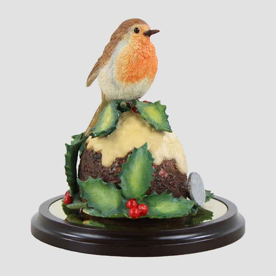 Robin On Christmas Pudding