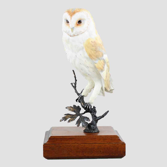 Barn Owl On Branch Model