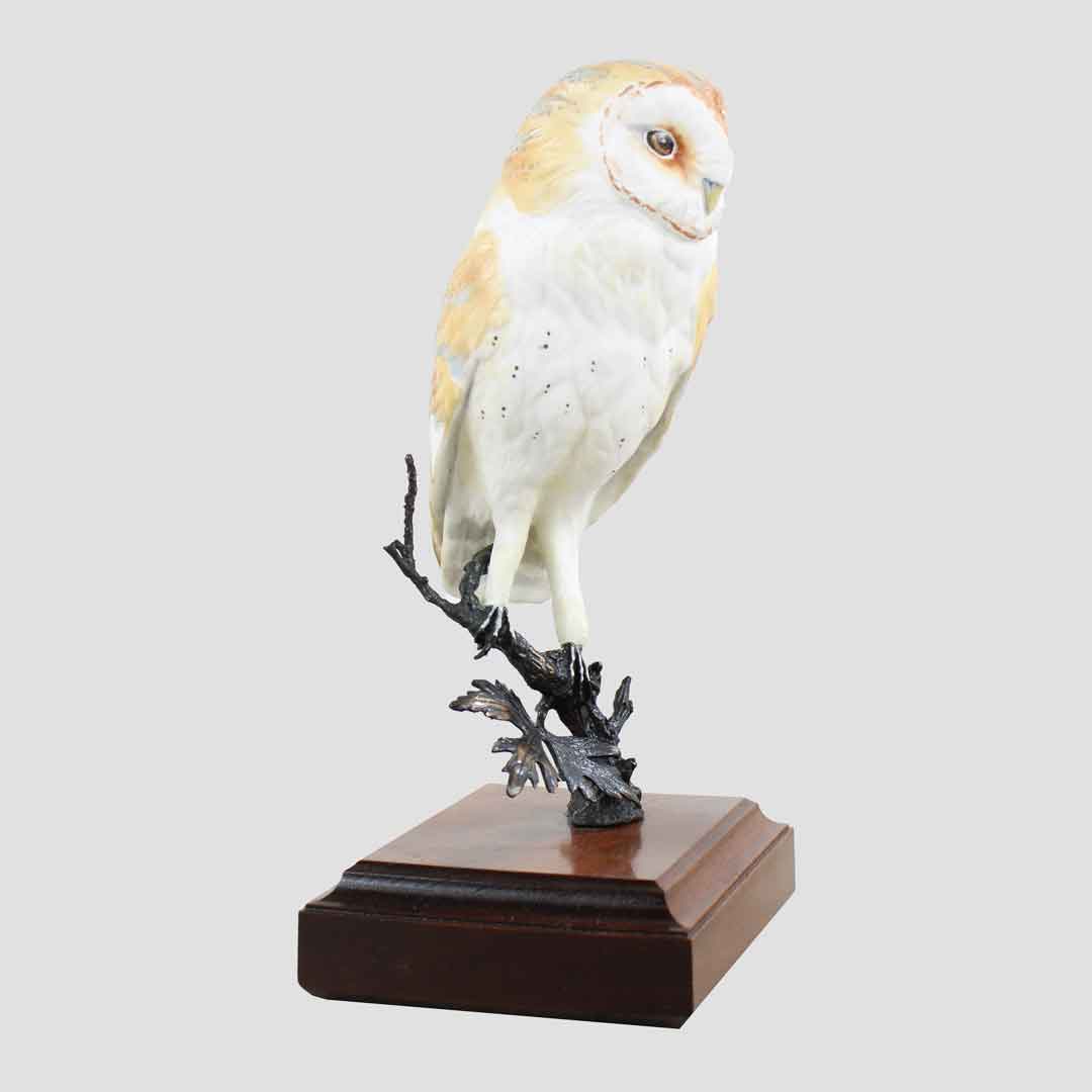 Barn Owl On Branch Model