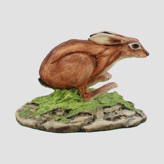 Running Hare Model