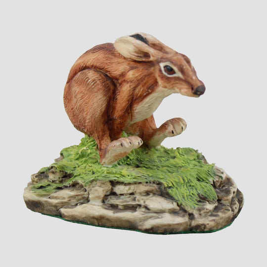 Running Hare Model